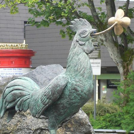 Haus Am Karpfenteich Hotel Goslar Eksteriør billede